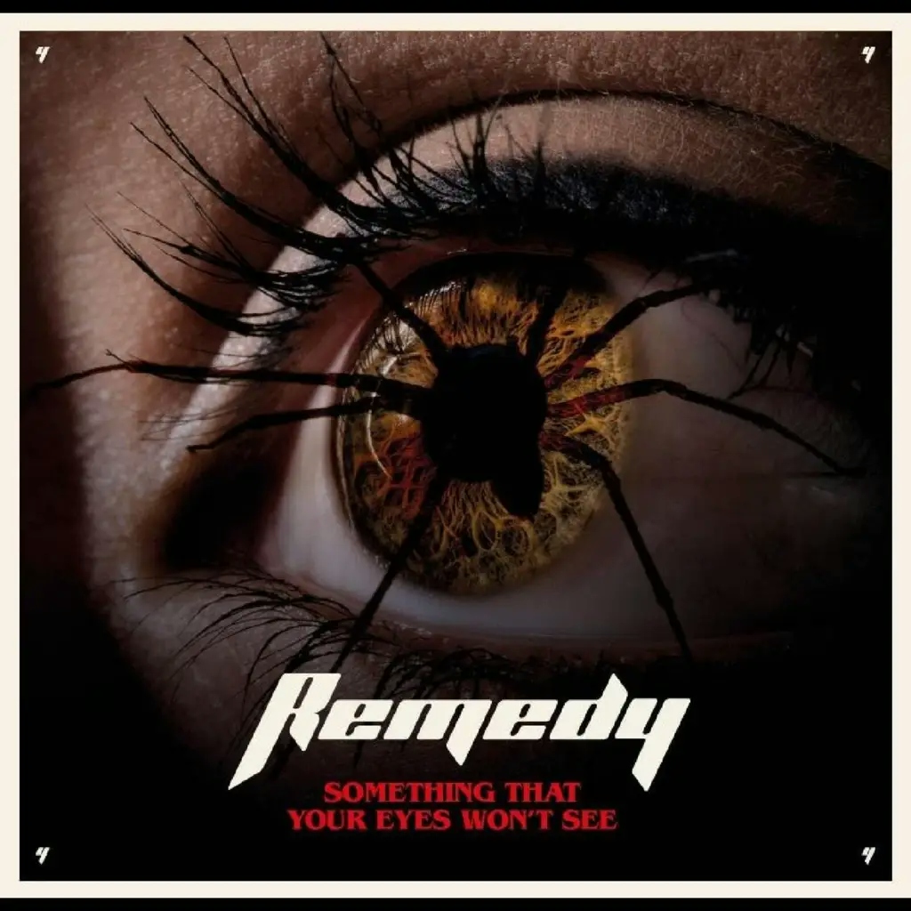 Album artwork for Something That Your Eyes Won't See by Remedy