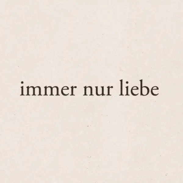 Album artwork for immer nur liebe by revelle