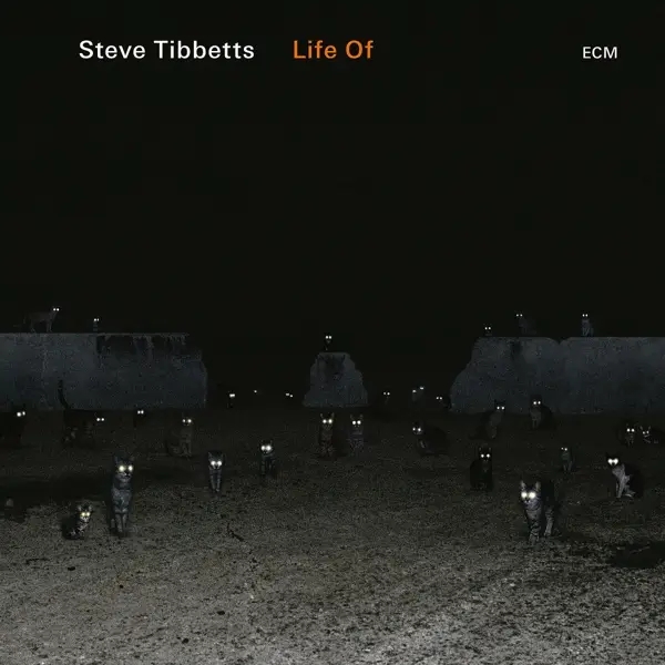 Album artwork for Life Of by Steve Tibbetts