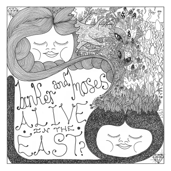 Album artwork for Alive In The..-Digislee- by Binker And Moses