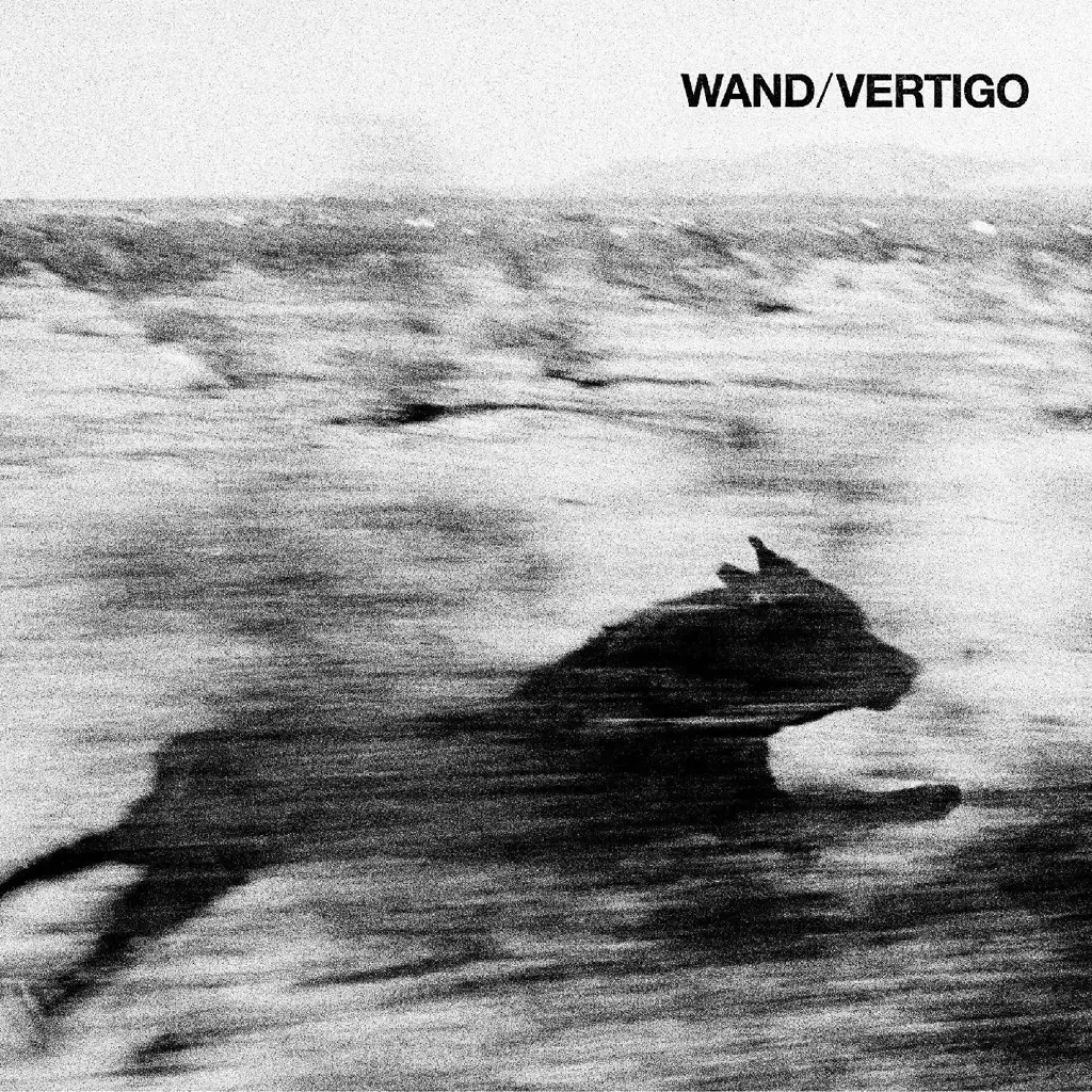 Album artwork for Vertigo by Wand