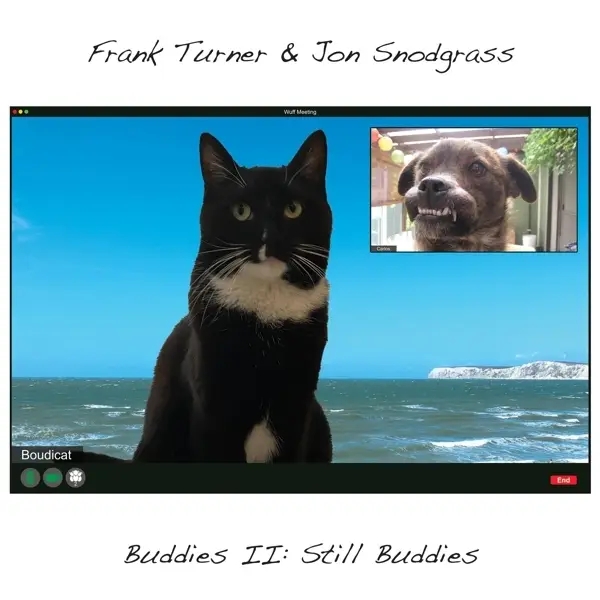 Album artwork for Buddies II: Still Buddies by Frank And Snodgrass,Jon Turner