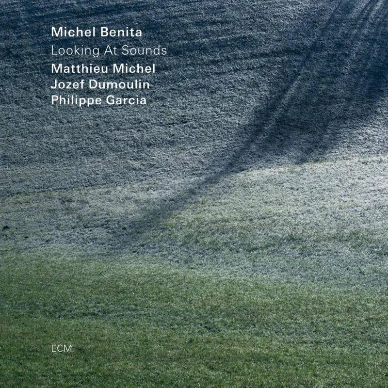Album artwork for Looking At Sounds by Michel Benita Quartet