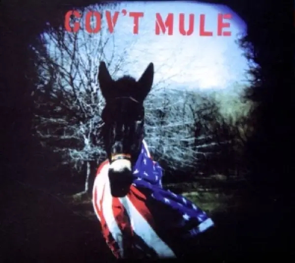 Album artwork for Gov't Mule by Gov't Mule