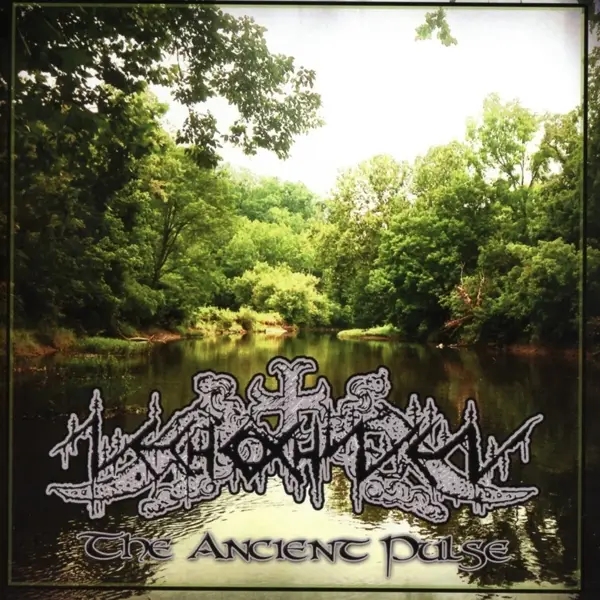 Album artwork for Ancient Pulse by Nechochwen