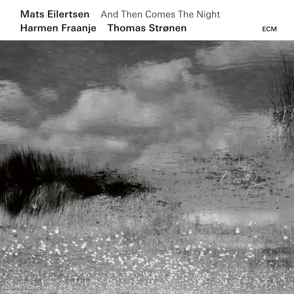 Album artwork for And Then Comes The Night by Mats Eilertsen