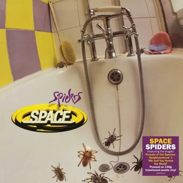 Album artwork for Spiders by Space