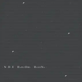 Album artwork for N.D.E. by Haruomi Hosono