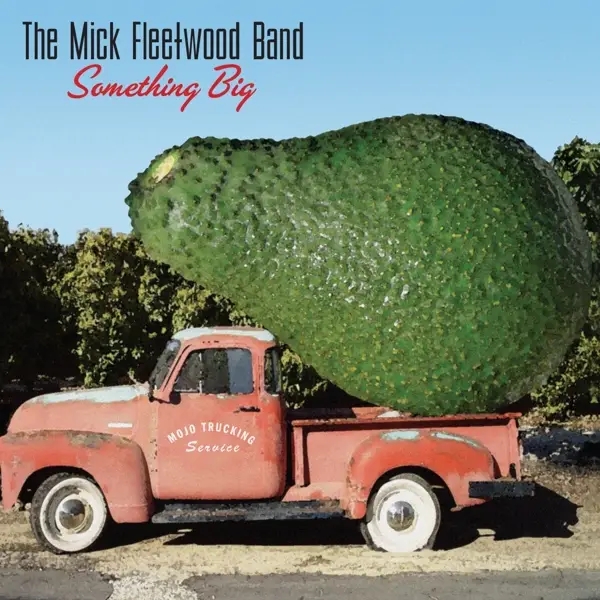 Album artwork for Something Big by The Mick Fleetwood Band