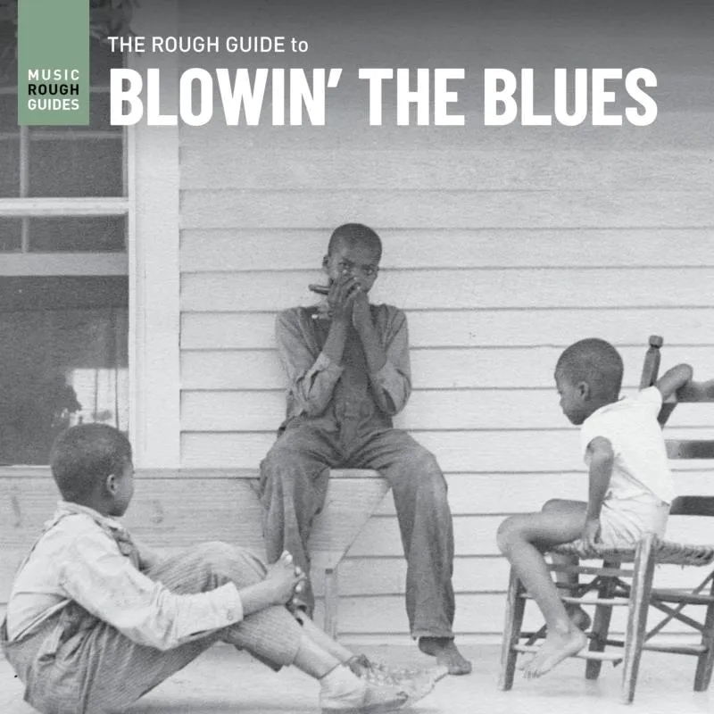 Album artwork for The Rough Guide To Blowin' The Blues by Various