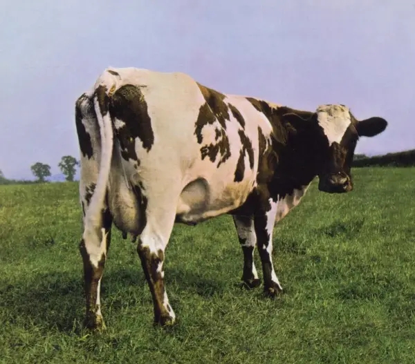 Album artwork for Atom Heart Mother by Pink Floyd