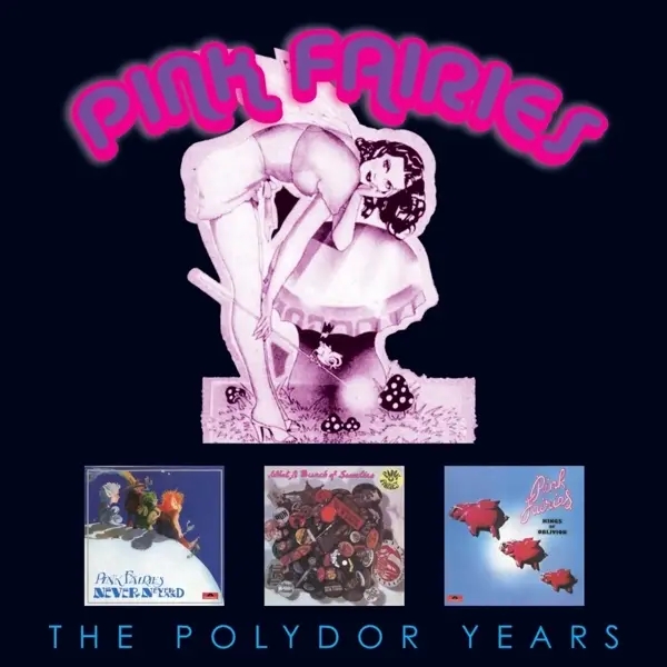 Album artwork for The Polydor Years by Pink Fairies