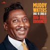 Album artwork for Sings Big Bill by Muddy Waters