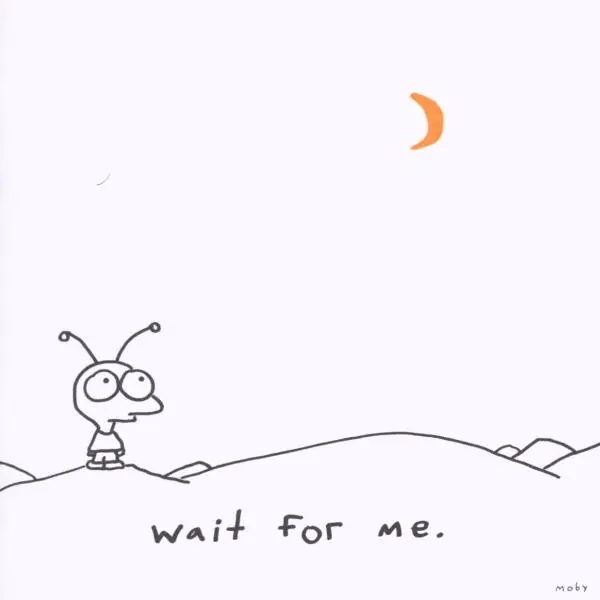 Album artwork for Wait For Me by Moby