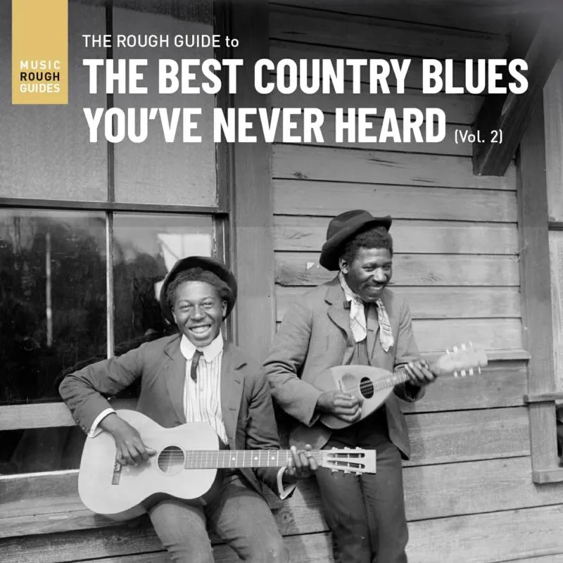 Album artwork for The Rough Guide To The Best Country Blues You've Never Heard (Vol. 2) by Various Artists