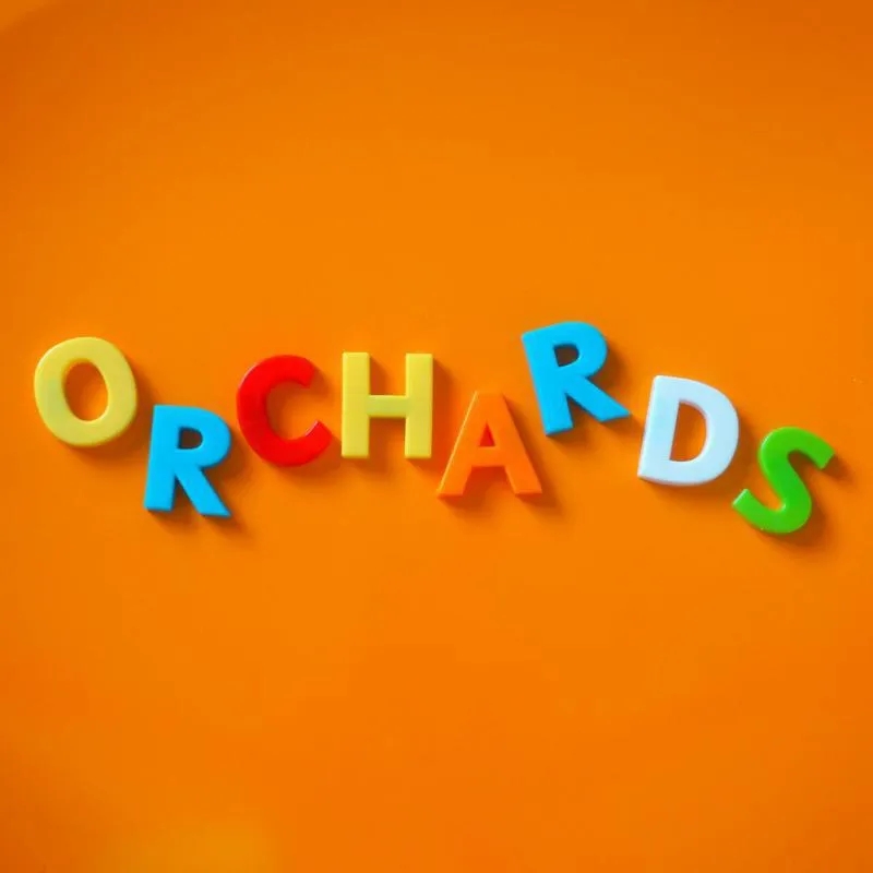 Album artwork for Young/Mature Me by Orchards