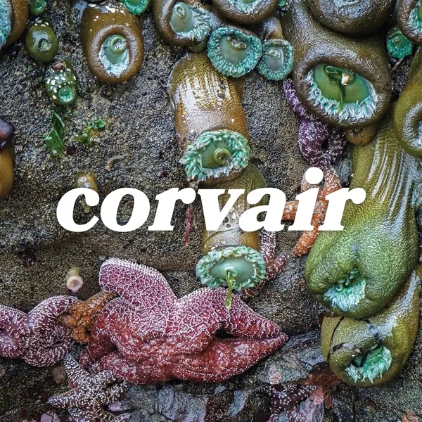 Album artwork for Corvair by Corvair
