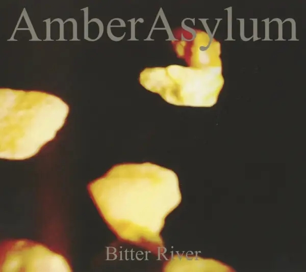 Album artwork for Bitter River by Amber Asylum