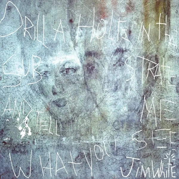 Album artwork for Drill A Hole In That Substrate And Tell Me What Yo by Jim White
