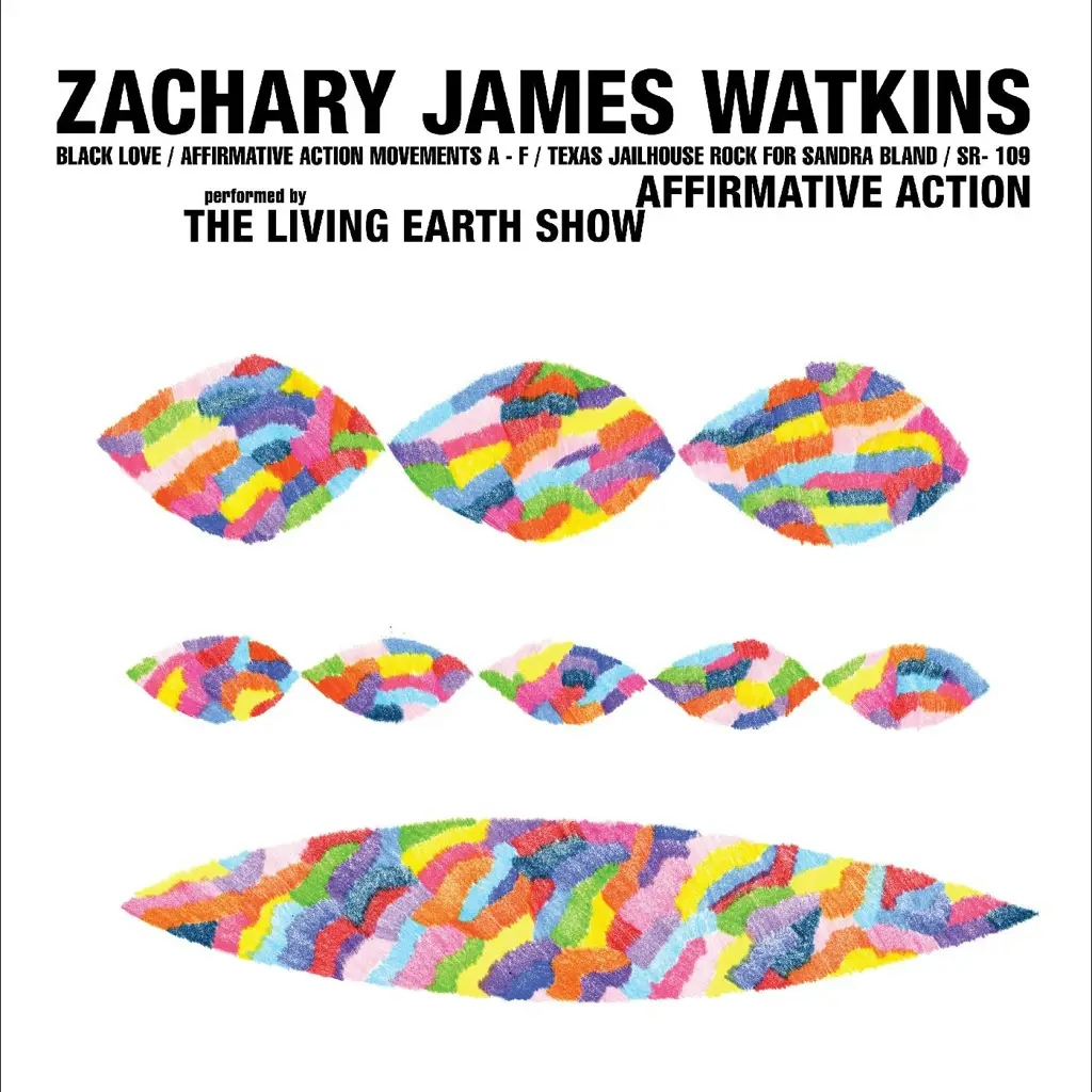 Album artwork for Affirmative Action by Zachary James Watkins