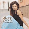 Illustration de lalbum pour Greatest Hits par Shania Twain