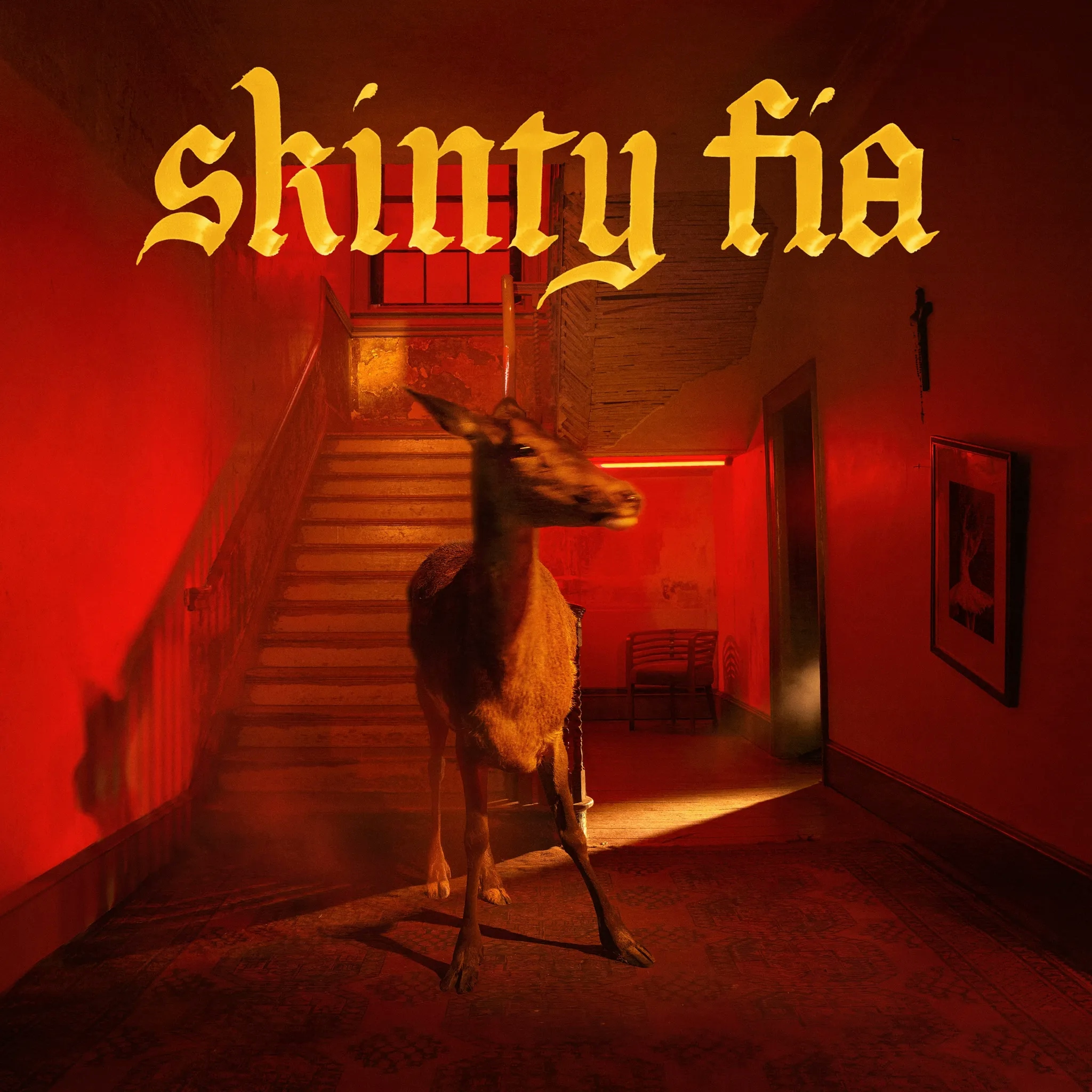 Album artwork for Skinty Fia by Fontaines D.C.