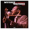 Album artwork for At Newport 1960 by Muddy Waters