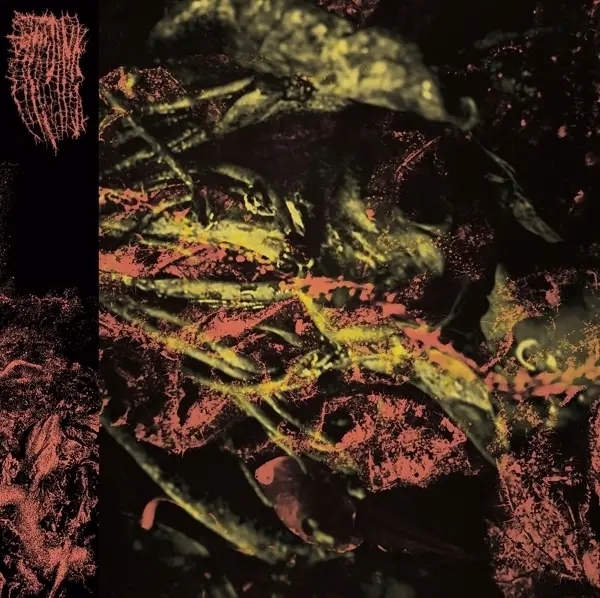 Album artwork for Permanent Destitution by Hissing