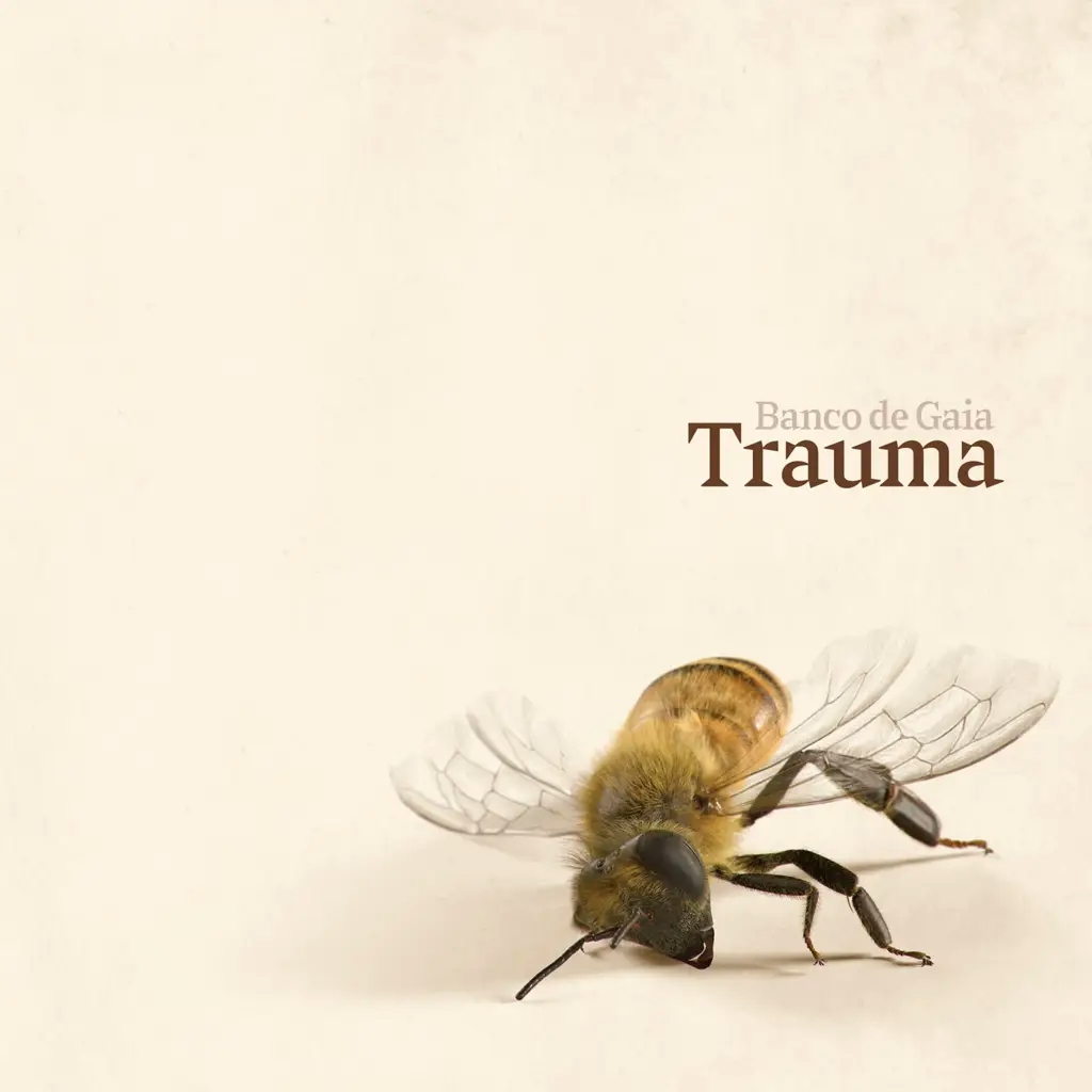 Album artwork for Trauma by Banco de Gaia