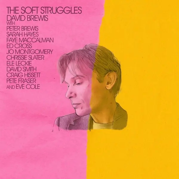 Album artwork for The Soft Struggles by David Brewis