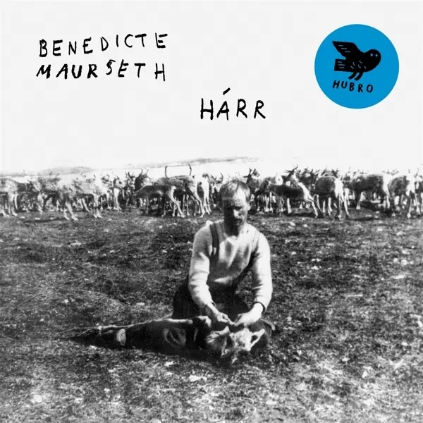 Album artwork for Harr by Benedicte Maurseth