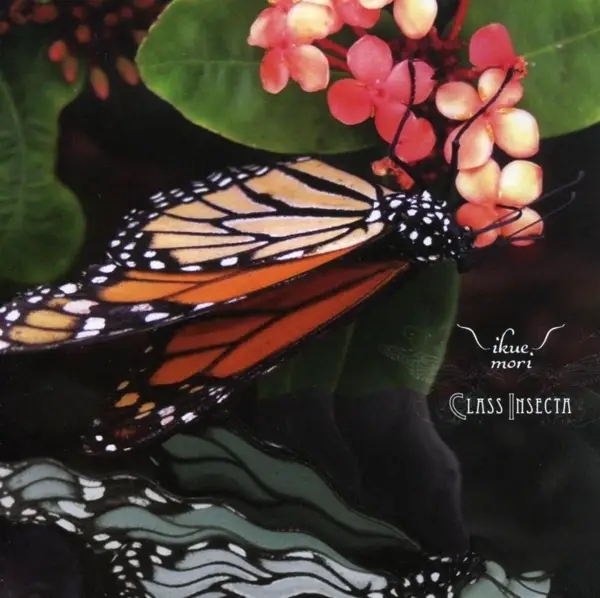 Album artwork for Class Insecta by Ikue Mori
