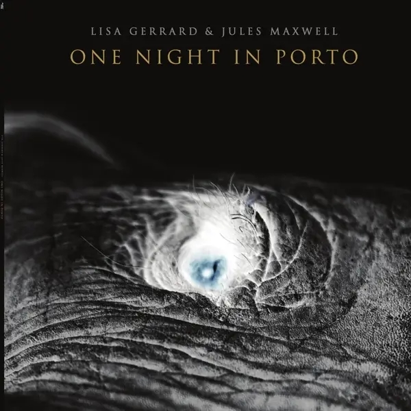 Album artwork for One Night in Porto by Lisa And Jules Maxwell Gerrard