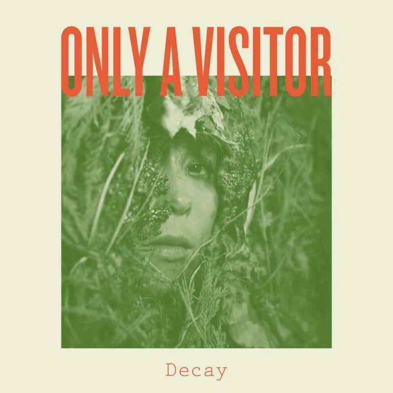 Album artwork for Decay by Only A Visitor