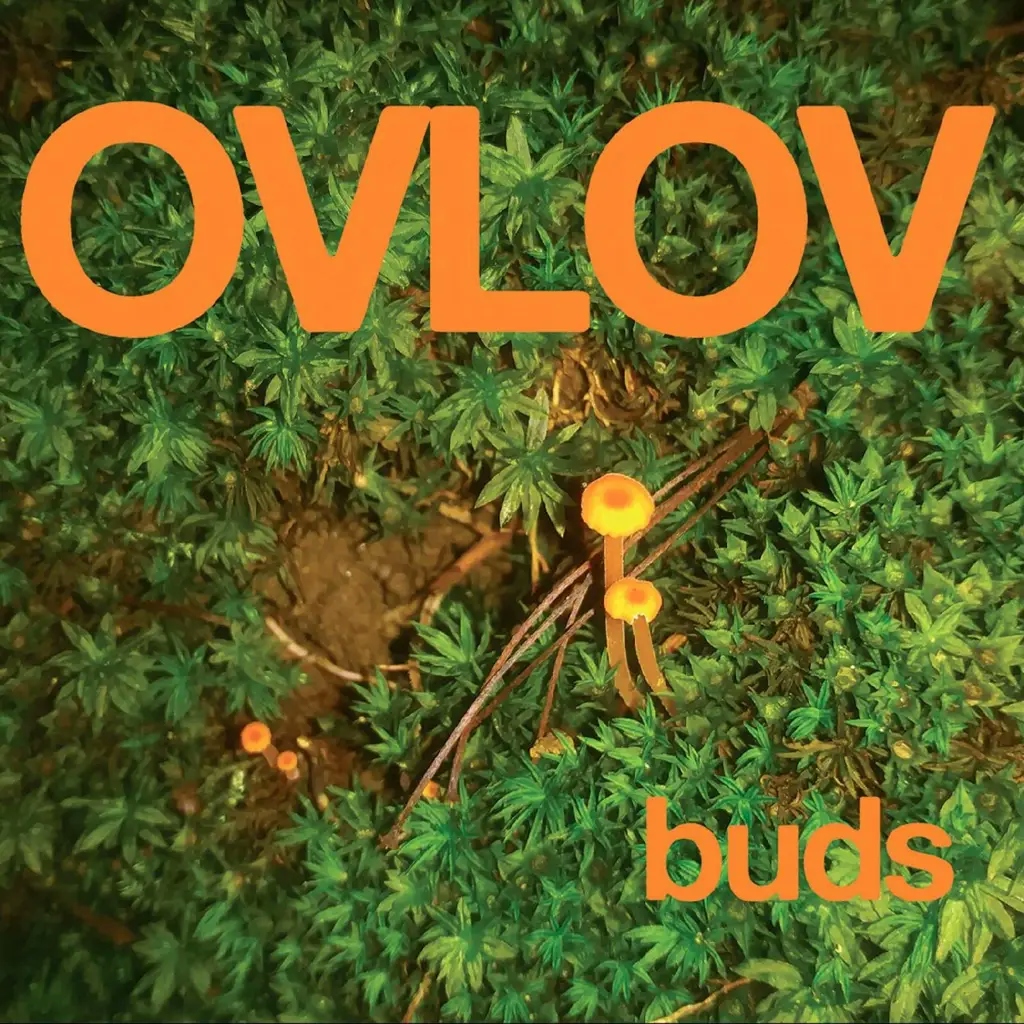 Album artwork for Buds by Ovlov