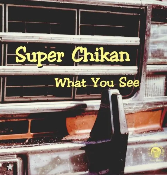 Album artwork for What You See by Super Chikan