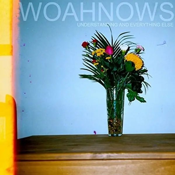 Album artwork for Understanding And Everything Else by Woahnows