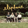 Album artwork for Big Thing by Elephant