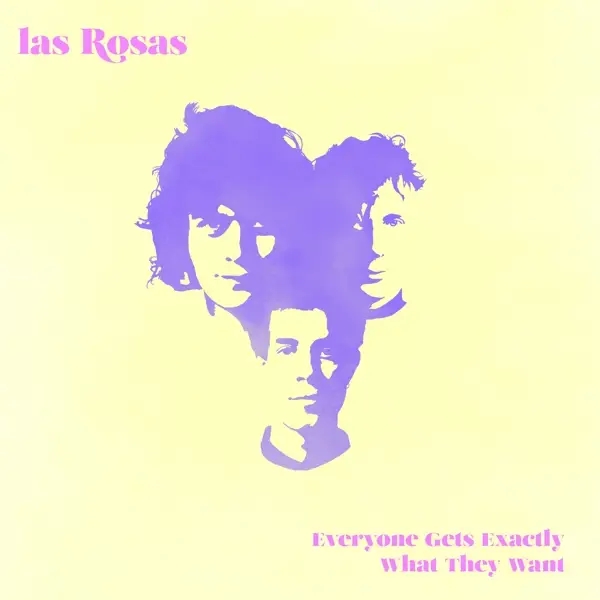 Album artwork for Everyone Gets Exactly Wha by Las Rosas