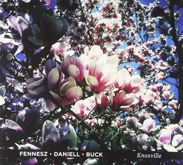 Album artwork for Knoxville by Fennesz
