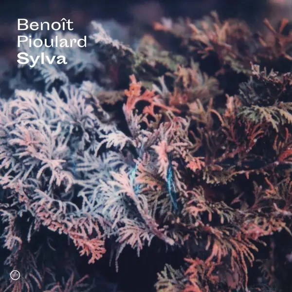 Album artwork for Sylva by Benoit Pioulard