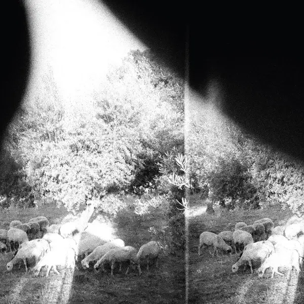 Album artwork for Asunder,Sweet And Other Distress by Godspeed You! Black Emperor