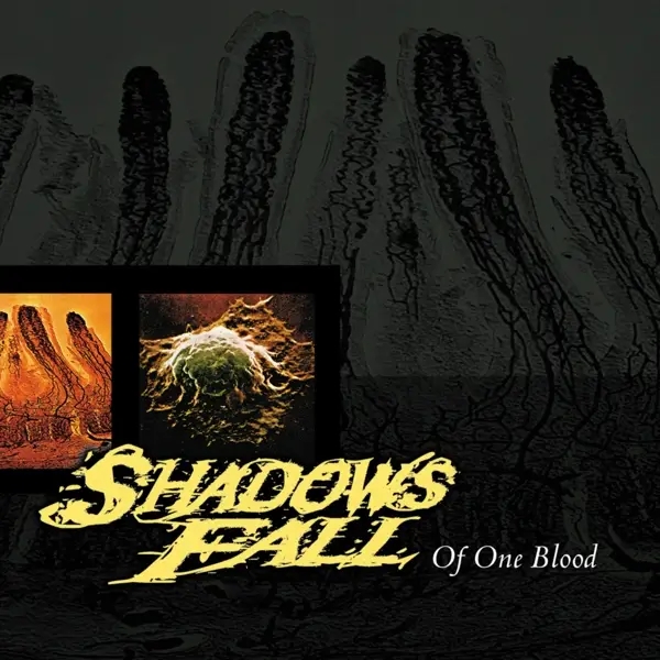 Album artwork for Of One Blood by Shadows Fall
