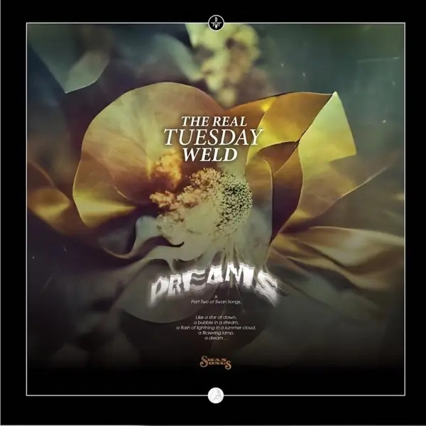 Album artwork for Dreams by The Real Tuesday Weld