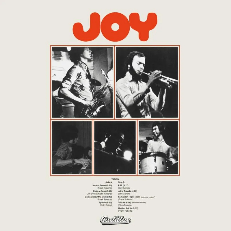 Album artwork for Joy by Joy