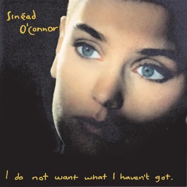 Album artwork for I Do Not Want What I Haven't Got by Sinead O'Connor