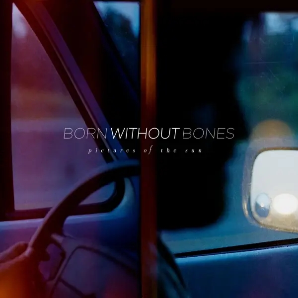 Album artwork for Pictures Of The Sun by Born Without Bones