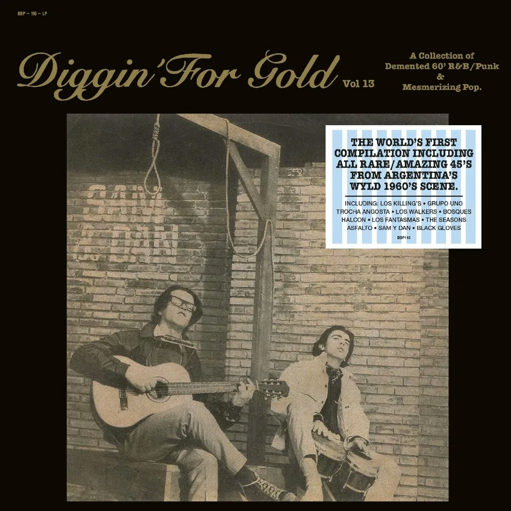 Album artwork for Diggin' For Gold Vol. 13 by Various Artists