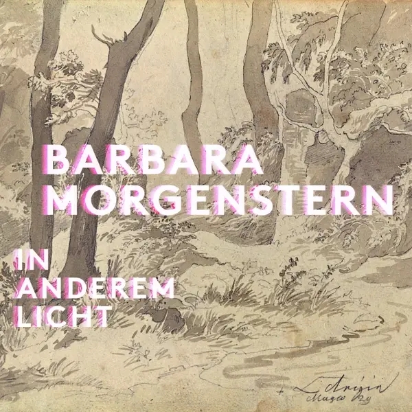 Album artwork for In anderem Licht by Barbara Morgenstern