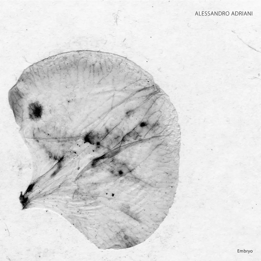 Album artwork for Embryo by Alessandro Adriani